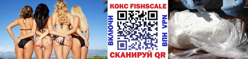 Кокаин FishScale  Купить закладки  Усть-Джегута 