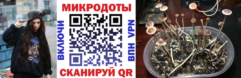 Купить закладки  Усть-Джегута  Галлюциногенные грибы ЛСД 