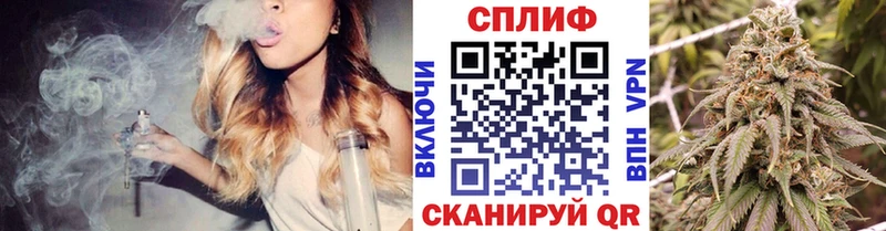 Купить закладки  Усть-Джегута  Шишки марихуана конопля 